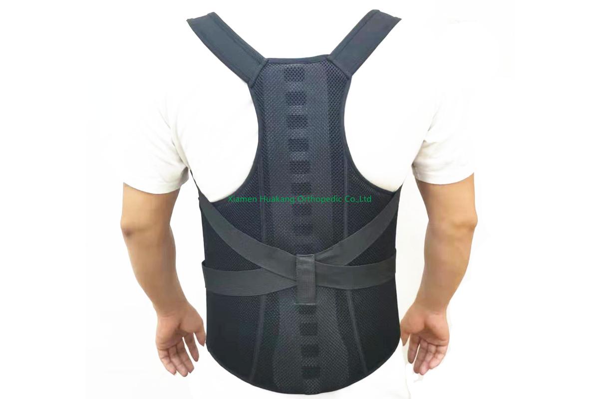 upper lower spinal back support